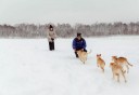 Photo of playing with dogs